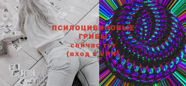 шишки Саяногорск