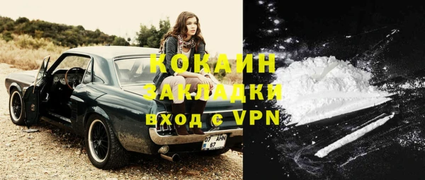 шишки Саяногорск