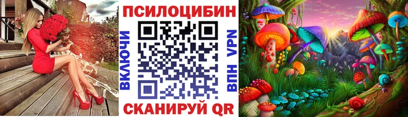 закладки  Королёв  Галлюциногенные грибы мухоморы 